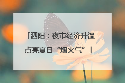 泗阳：夜市经济升温 点亮夏日“烟火气”